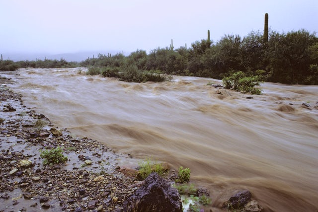 Imagen Grandes ahorros en consumo de agua tras las subvenciones para recolectar pluviales en Tucson