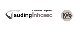 AUDINGINTRAESA